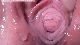Intimate View Of Lesbian Anal Play